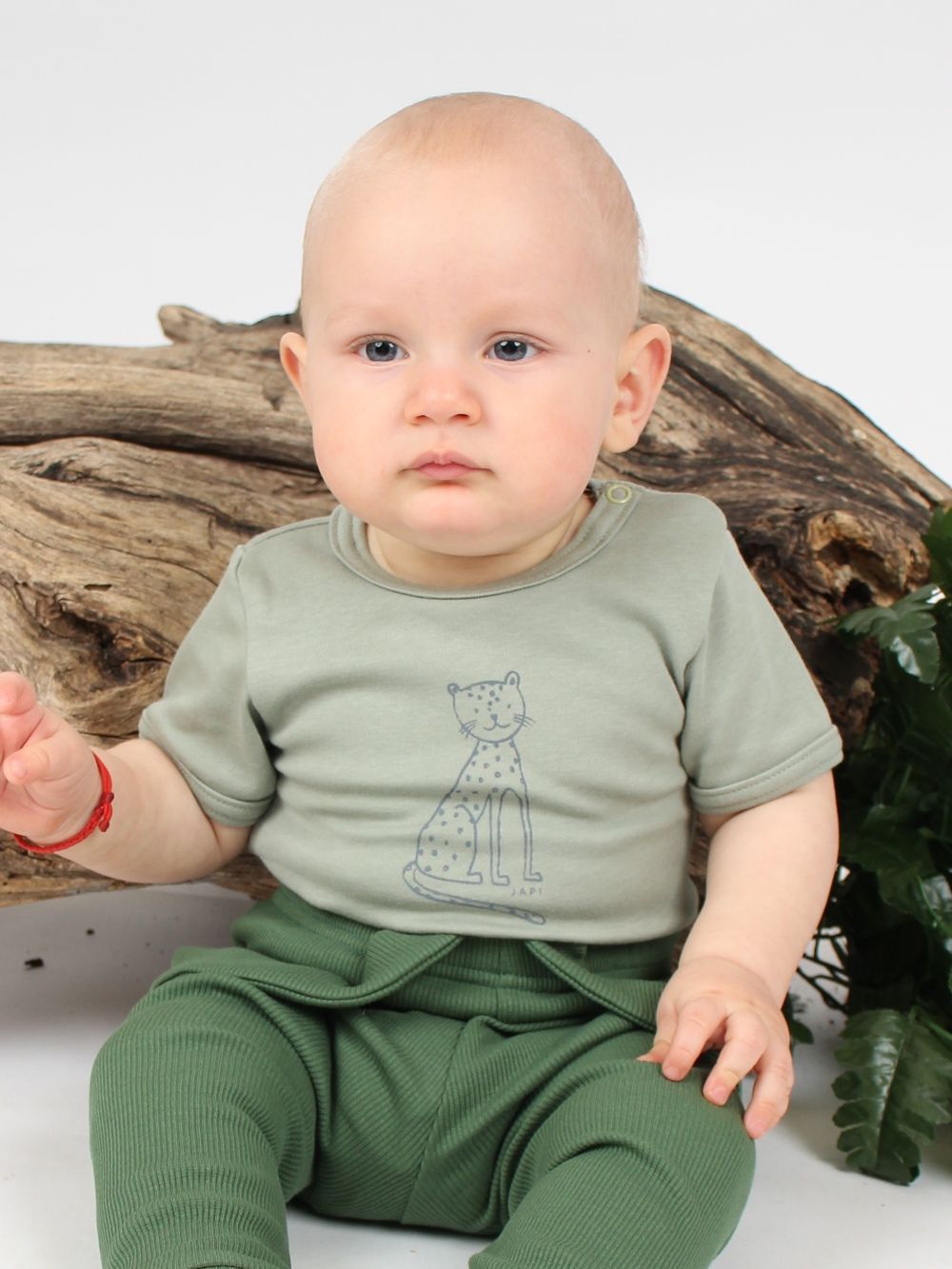 Body 1SZ SAFARI rövid ujjú