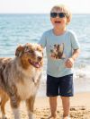 Fiú rövid ujjú COOL DOG póló